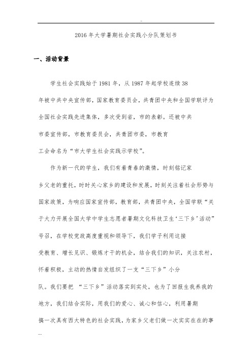 2016年大学暑期社会实践小分队项目策划书