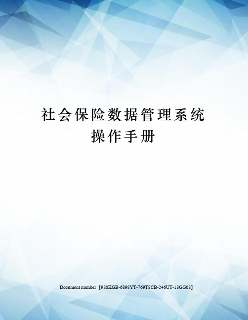 社会保险数据管理系统操作手册