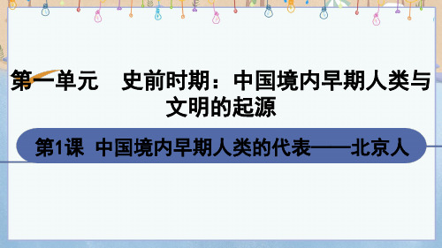 人教版七年级上册历史《第1课 中国境内早期人类的代表——北京人》课件