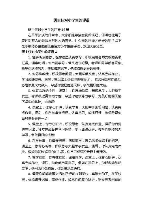 班主任对小学生的评语14篇