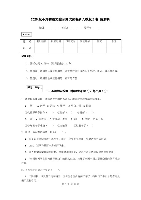 2020版小升初语文综合测试试卷新人教版B卷 附解析