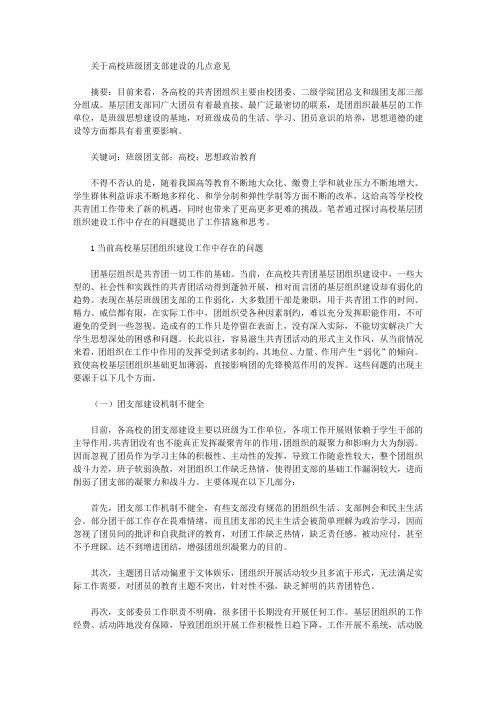 关于高校班级团支部建设的几点意见