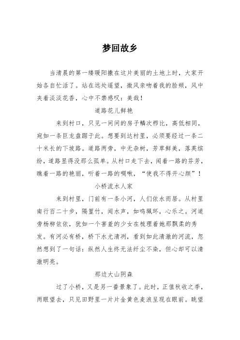 高中议论文作文:梦回故乡