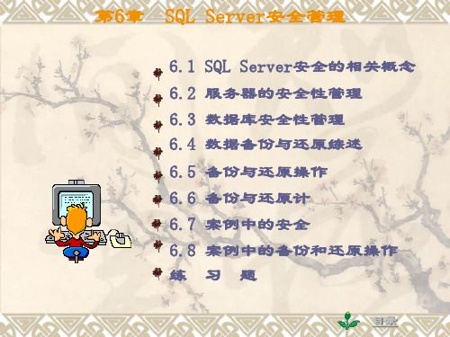 SQL Server安全管理