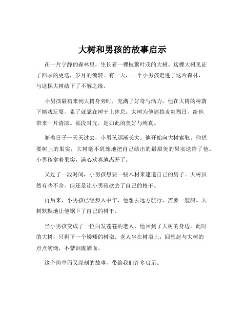 大树和男孩的故事启示