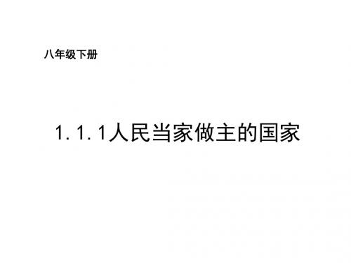 (人教版)人民当家作主的法治国家 教学PPT课件19  (4)