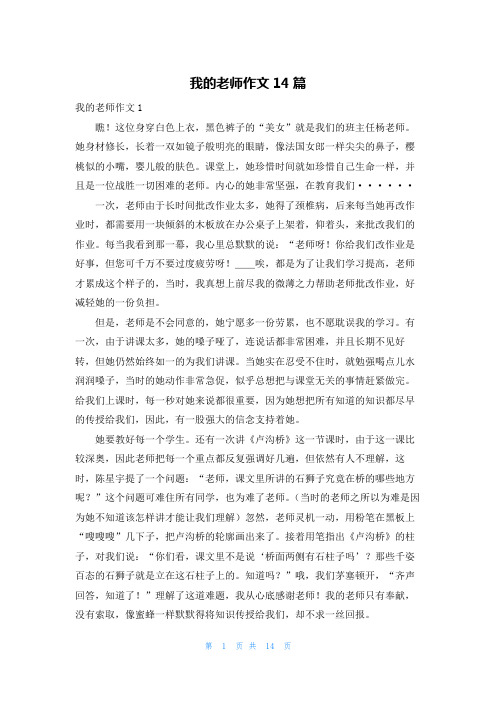 我的老师作文14篇