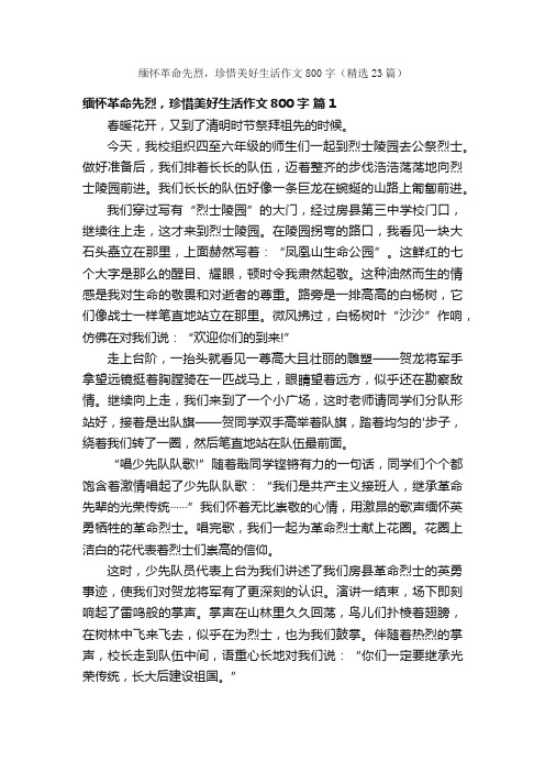 缅怀革命先烈，珍惜美好生活作文800字（精选23篇）