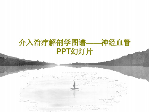 介入治疗解剖学图谱——神经血管PPT幻灯片PPT文档共46页