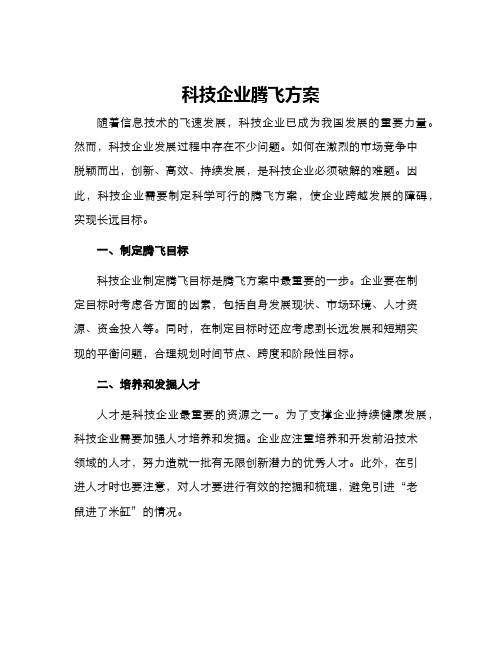 科技企业腾飞方案