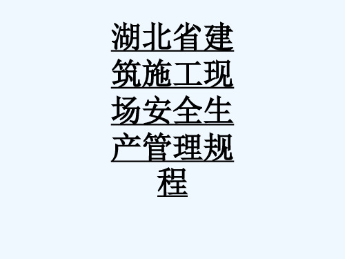 湖北省建筑施工现场安全生产管理规程_1507