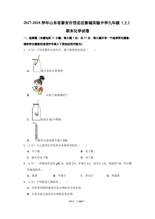 2017-2018学年山东省泰安市岱岳区新城实验中学九年级(上)期末化学试卷