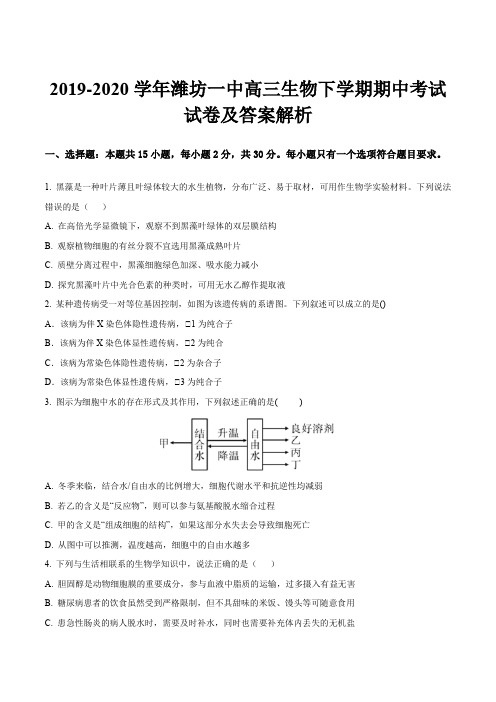 2019-2020学年潍坊一中高三生物下学期期中考试试卷及答案解析