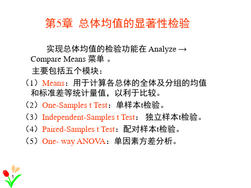 第5章spss总体均值的显著性检验