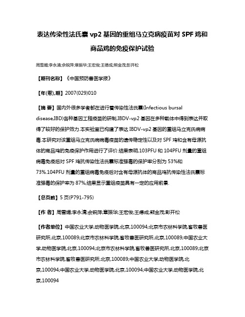 表达传染性法氏囊vp2基因的重组马立克病疫苗对SPF鸡和商品鸡的免疫保护试验