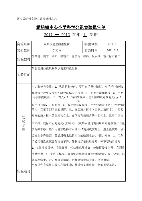 苏教版小学科学六年级上册实验报告单