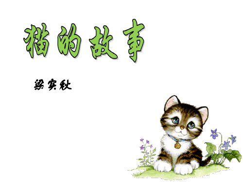 猫的故事_PPT