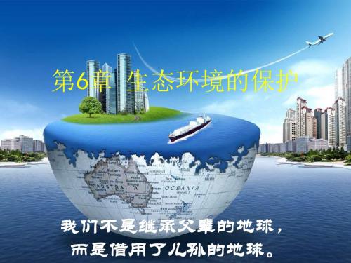 高二生物人口增长对生态环境的影响1(2018-2019)