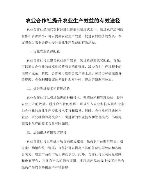 农业合作社提升农业生产效益的有效途径