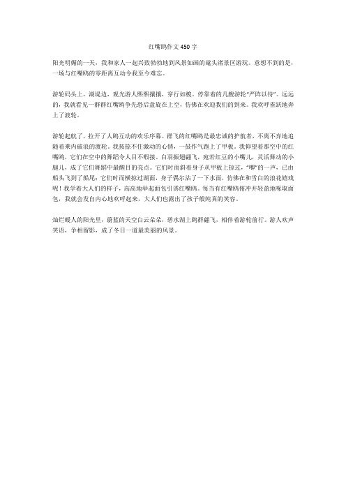 红嘴鸥作文450字全面版