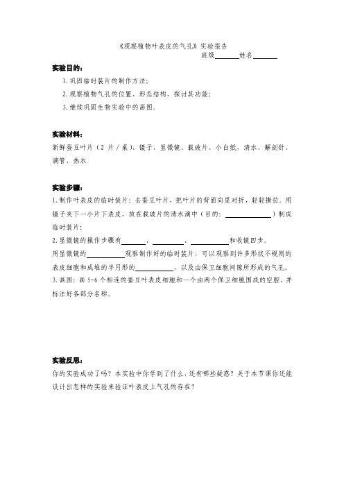 制作并观察叶表皮实验实验报告