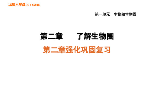 第二章强化巩固复习-2020年秋鲁科版(五四制)六年级上册生物习题课件(共42张PPT)