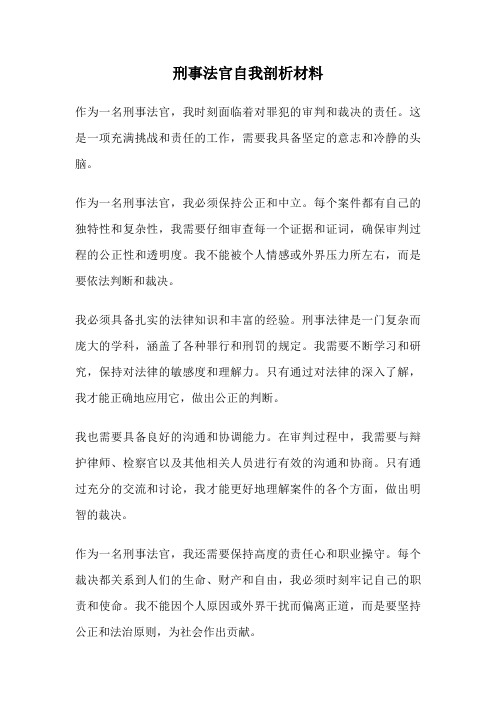 刑事法官自我剖析材料