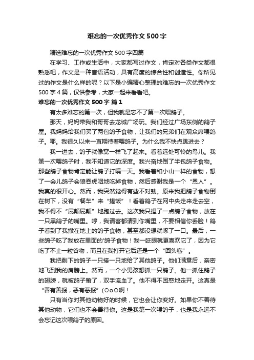 难忘的一次优秀作文500字