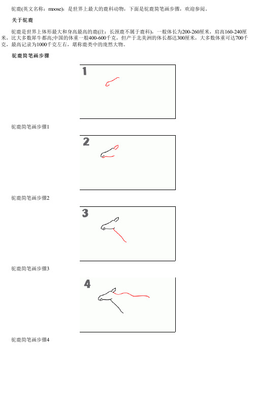 儿童驼鹿基础画图片步骤