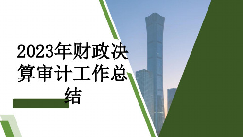 2023年财政决算审计工作总结