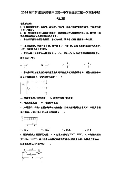 2024届广东省韶关市新丰县第一中学物理高二第一学期期中联考试题含解析