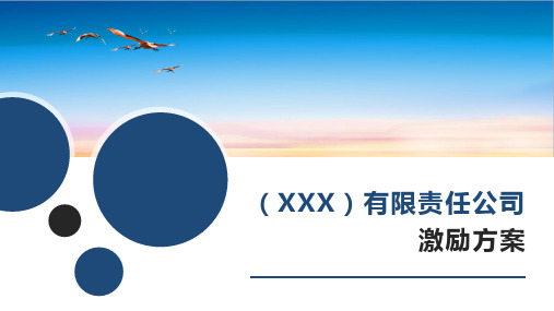 XX有限责任公司股权激励方案