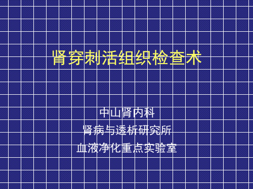 肾活检基本技术操作