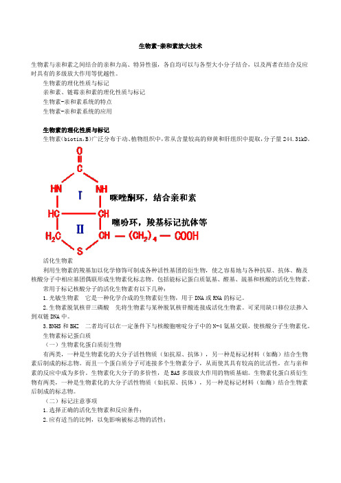 生物素-亲和素放大技术