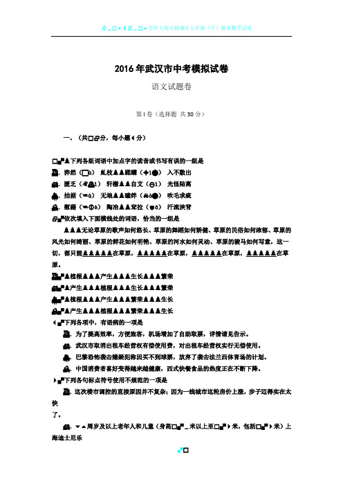 2016年武汉市中考模拟试卷