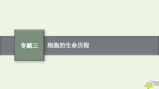 高考生物二轮复习专题3细胞的生命历程课件