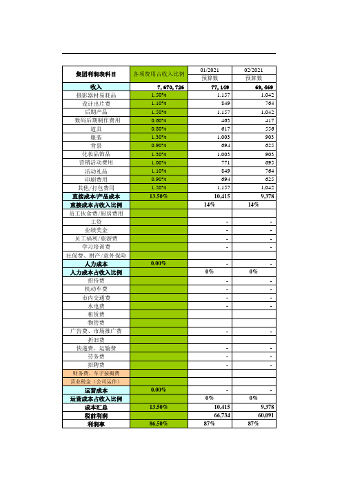 财务盈利预算表