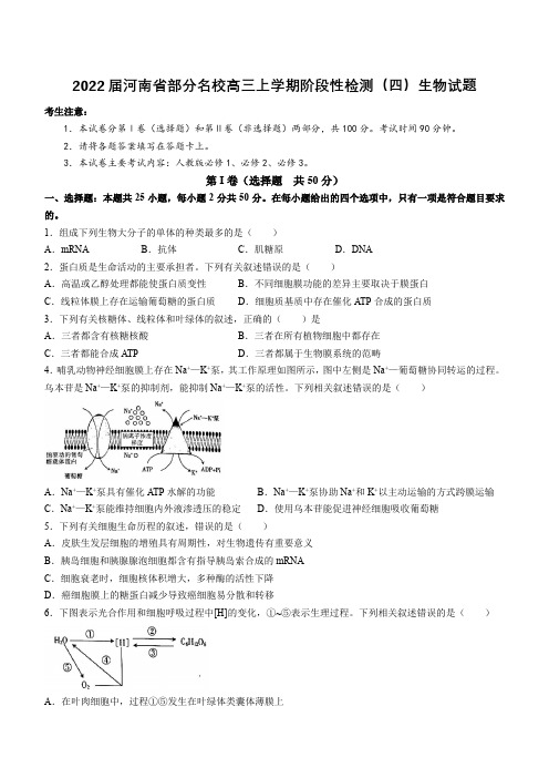 2022届河南省部分名校高三上学期阶段性检测(四)生物试题