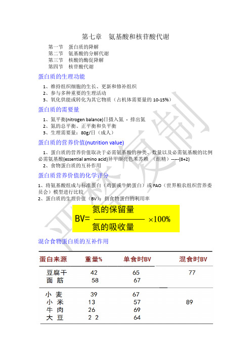 大学动物生物化学氨基酸代谢