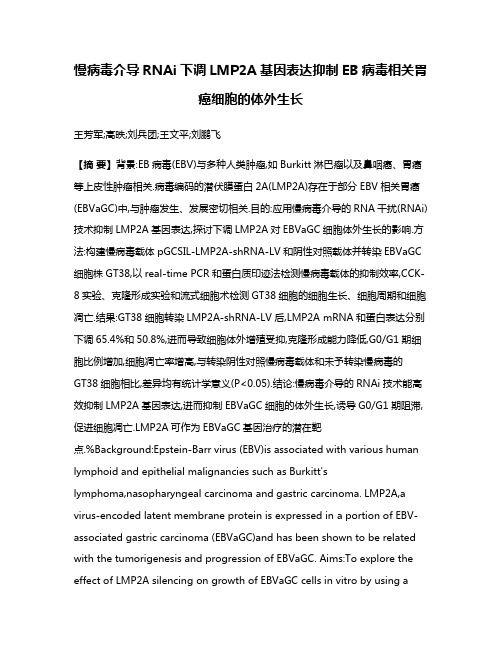 慢病毒介导RNAi下调LMP2A基因表达抑制EB病毒相关胃癌细胞的体外生长