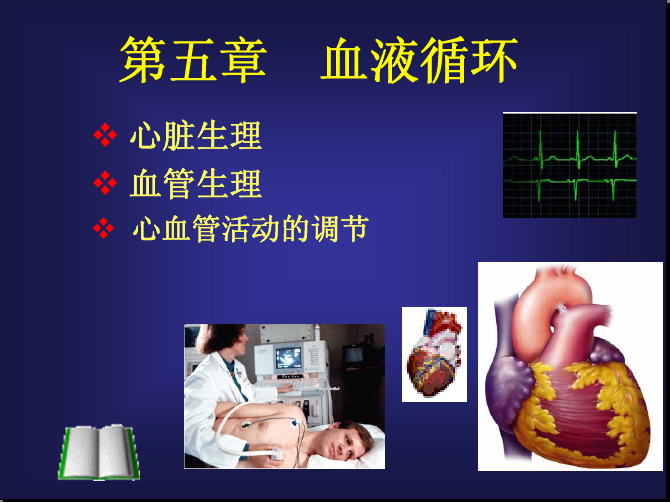 动物生理学第五章 血液循环