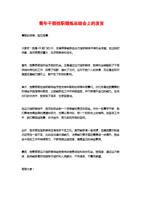 青年干部挂职锻炼总结会上的发言