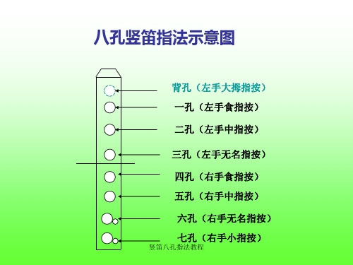 竖笛八孔指法教程