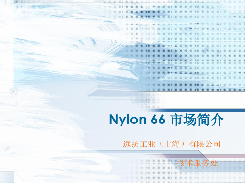 Nylon 66 市场简介