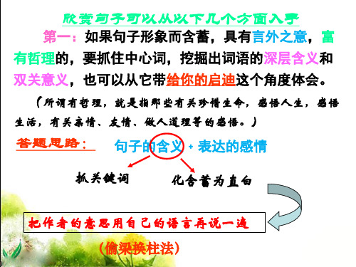 用词角度分析表达效果