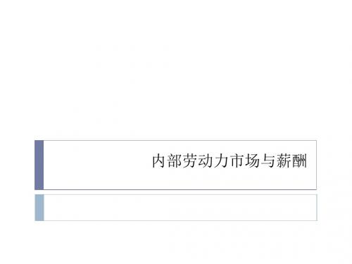 内部劳动力市场与薪酬讲义课件(ppt48张)