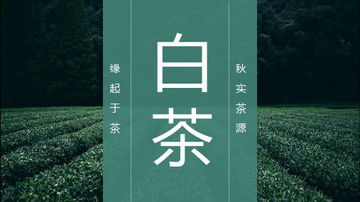 中华传统茶文化茶艺白茶介绍教育PPT讲授课件