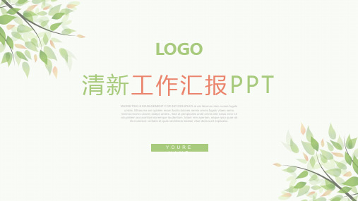 小清新工作总结汇报PPt模版