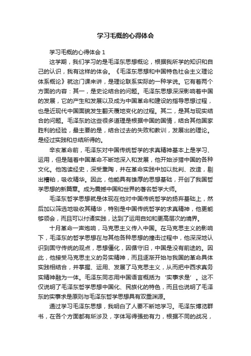 学习毛概的心得体会