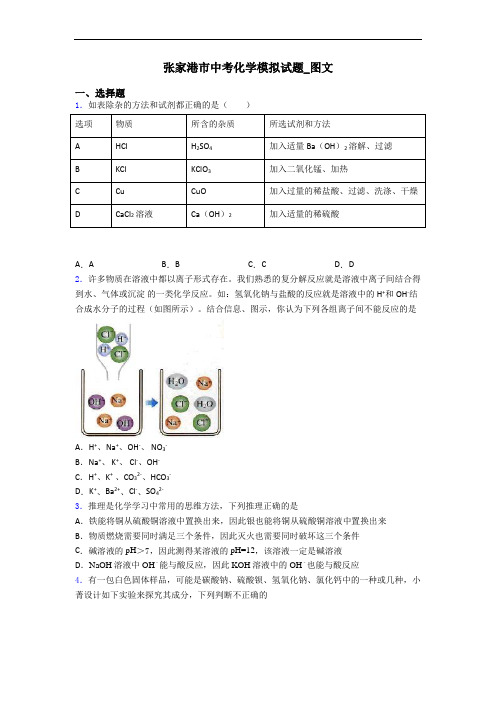 张家港市中考化学模拟试题_图文